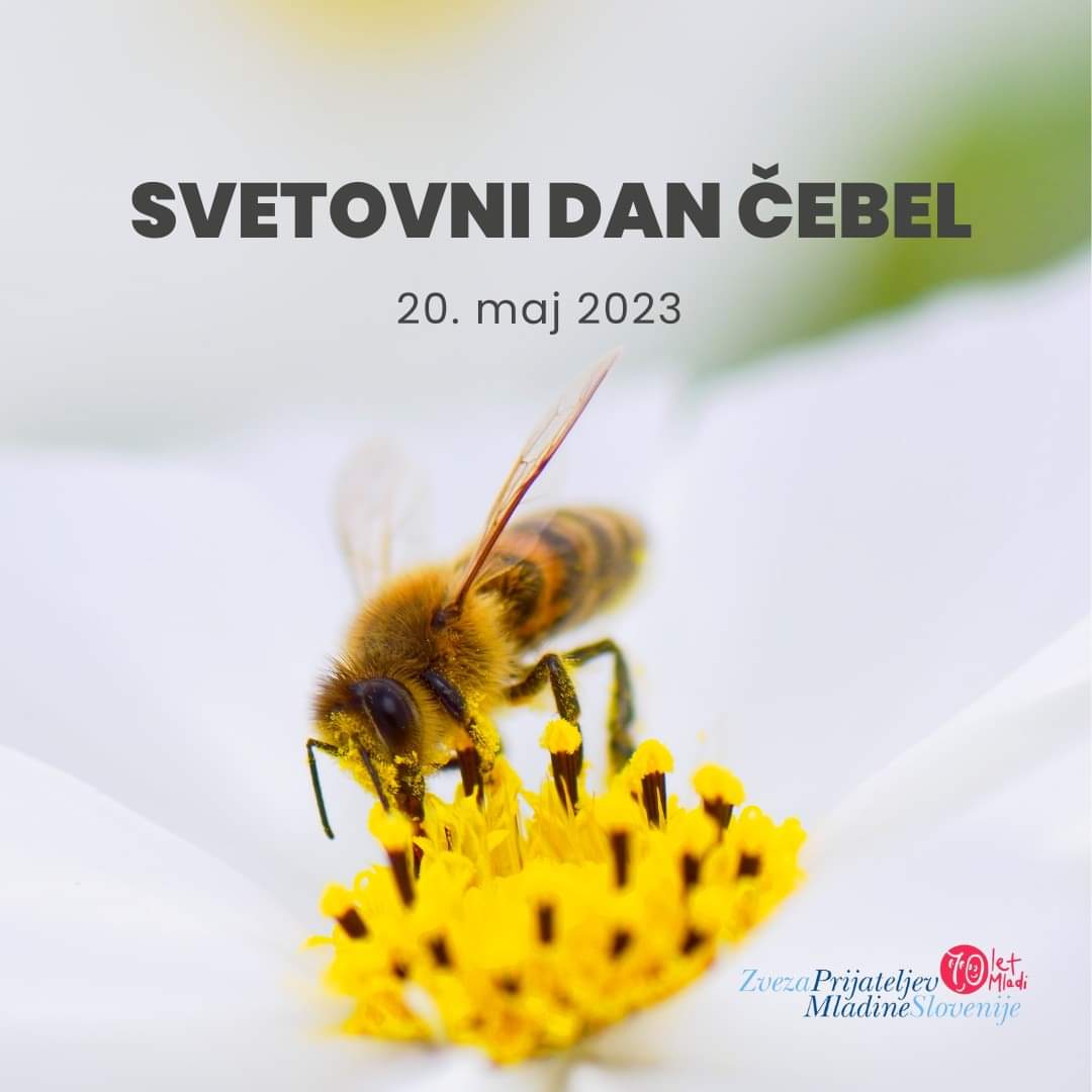 Zveza prijateljev mladine Slovenije tweet media