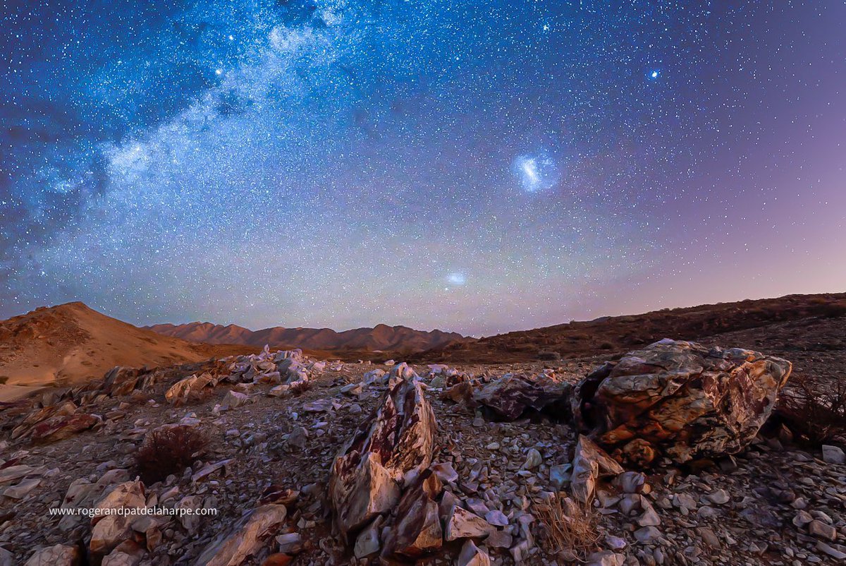 Roger de la Harpe tweet media