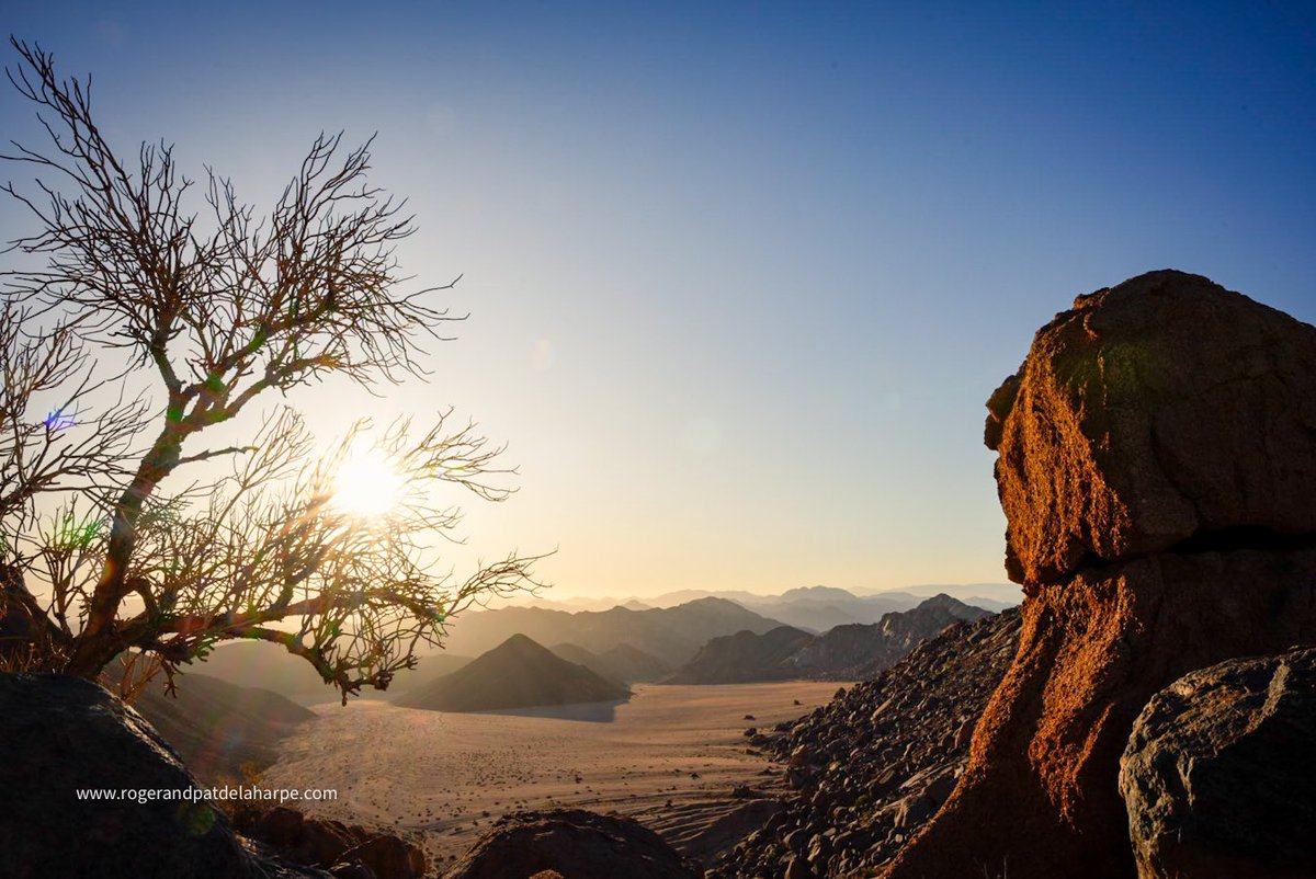 Roger de la Harpe tweet media