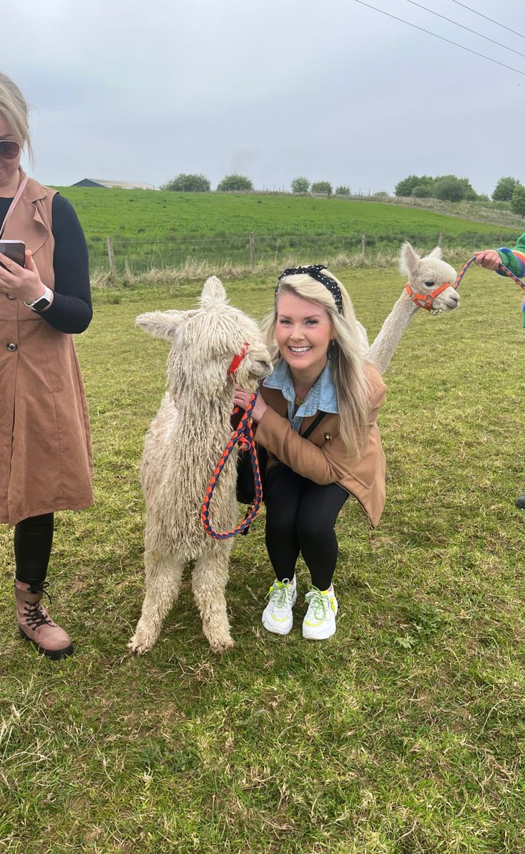 The team that trecks together stays together 🦙🫶😄 @children1st #northayrshire #familywellbeing spent some wholesome Saturday time together lunching, laughing & meeting these floofy friends. @mrsaitken1982 @JenOCon37144418 #southayrshire #lunch #connection #alpacatrecking