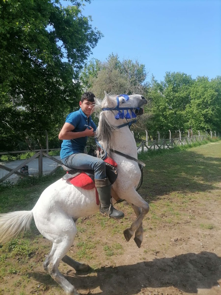 İsmail (@smail1467592076) on Twitter photo 