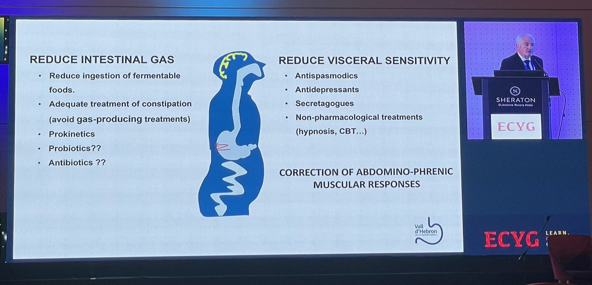 #ECYG 2023 

*Bloating and abdominal distension*

Outstanding presentation on the physiopathology, approach, and the treatment of abdominal distension by Prof. <a href="/jordiserradr/">Dr. Jordi Serra</a> 

<a href="/ECYGnews/">ECYG</a> <a href="/esnm_eu/">ESNM.eu</a> <a href="/ASENEM_/">ASENEM</a> 
<a href="/ResisDigesHUVH/">Residents d’Aparell Digestiu Vall d'Hebron</a> 

#MotilidadVH #DigestivoVH #Motility #NeuroGastro
