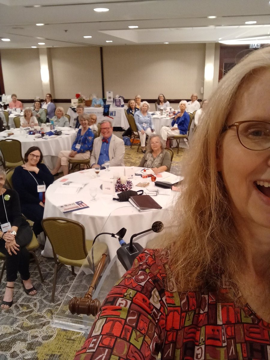Great time talking to @LWVNCarolina  about how anyone can help fight #misinformation at their state convention today.