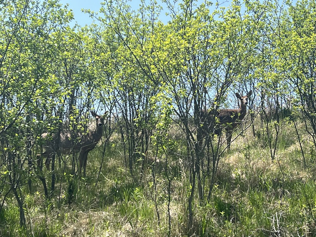 Mary Jordan tweet media