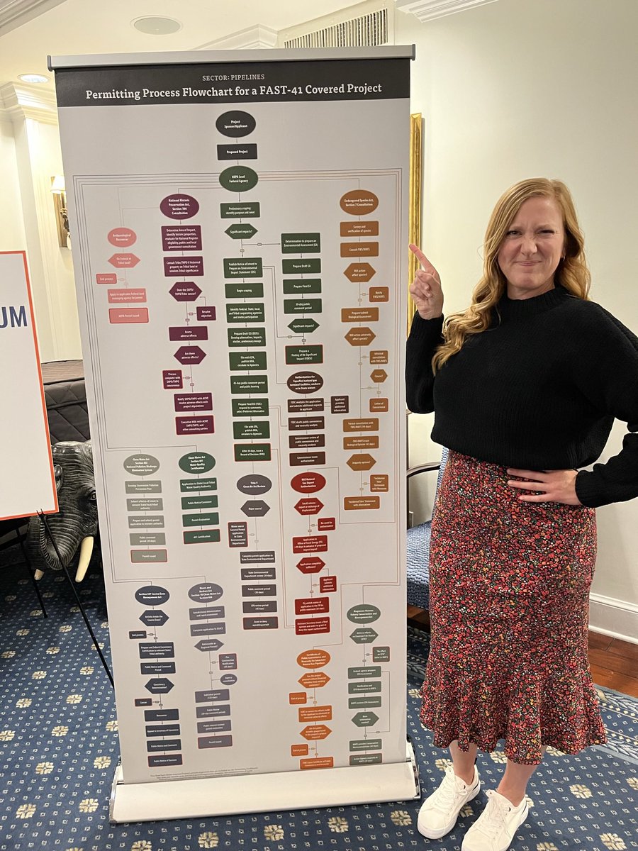 ehdomenech's tweet image. In case anyone needs a reminder of why we need permitting reform, here is the process for an “accelerated” project permit…