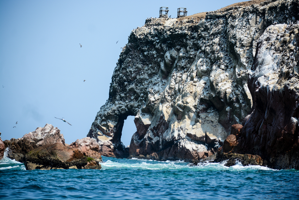 mapitravel4all's tweet photo. Paracas - Ica - Perú #photography #peru #trip #turismo #machupicchu https://t.co/X9YPWmPWcT