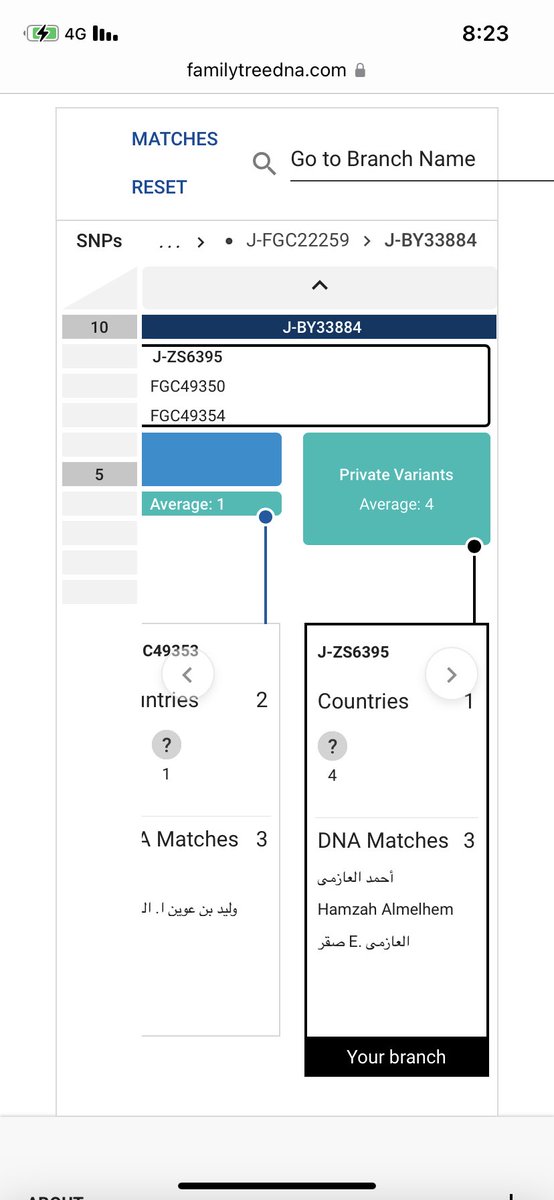 يسرني اعلان نتيجة بق واي 700 لفخذ البليحية من قبيلة العوازم علي التحور الفرعي ZS6395

من التحور الجامع لتكتل قبيلة العوازم المندرجة من الاب zs5198/FGC5427
الذي اتى من التكتل الهوازني تحت FGC2

رقم العينة فاملي تري BP16947