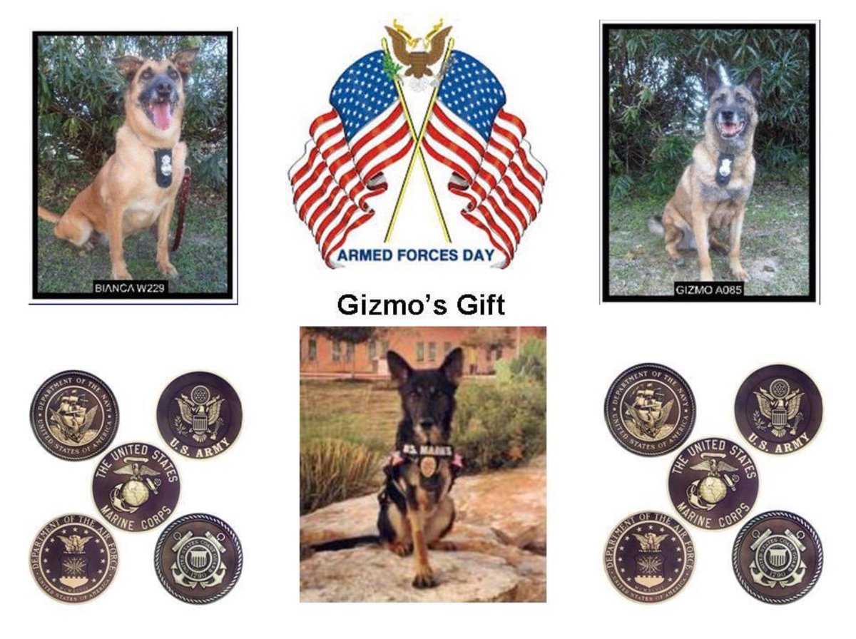 GizmosGift's tweet photo. #ArmedForcesDay https://t.co/zPHNv7YzyW
