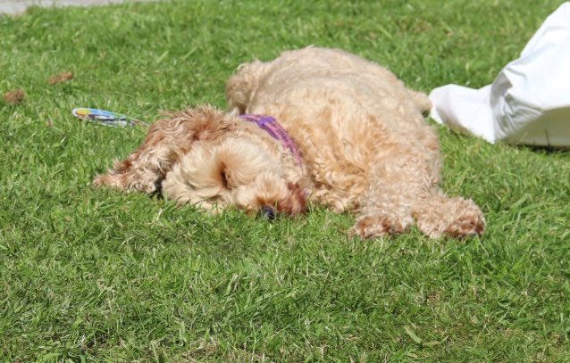 Lynsey Jeffers tweet media