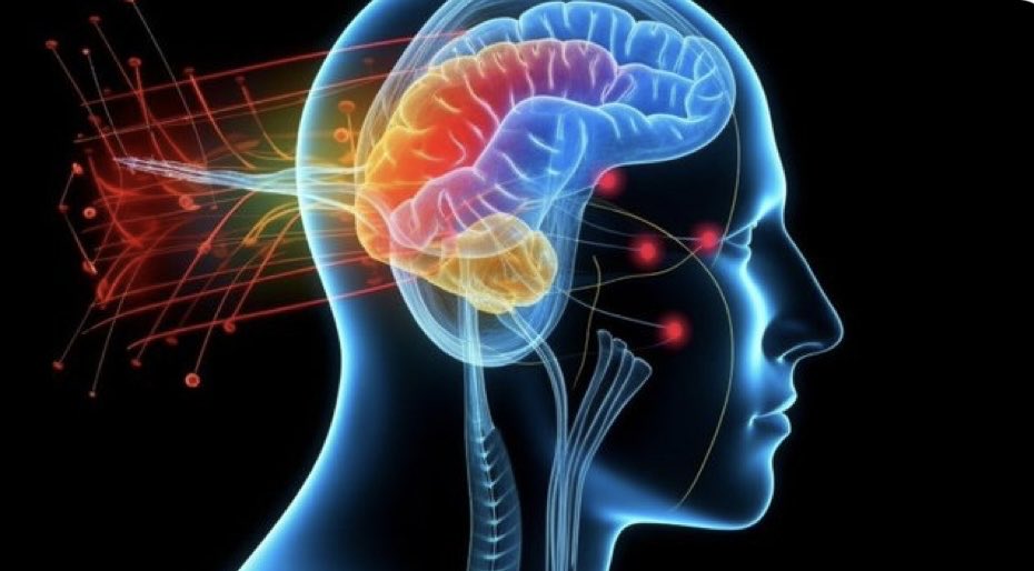 #Left-Side #Bias: Brain Responds Strongly to Positive #Sounds from #Left
By @FrontNeurosci 
#auditory #Brain 
#neuroscience #neurotech #HealthTech #TechForGood 
👉neurosciencenews.com/left-side-soun…

@GlenGilmore @BetaMoroney @SpirosMargaris @Fabriziobustama @IanLJones98 @mvollmer1…