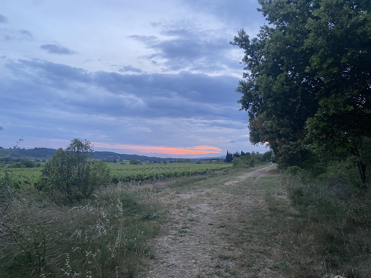 ClareMSimpson's tweet image. Last night in Azille #azille #minervois #aude ⁦@soundings2004⁩ ⁦@cazziewaz⁩