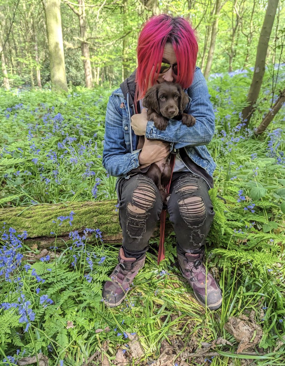 Hank and I checking out the bluebells
#puppies #dogs