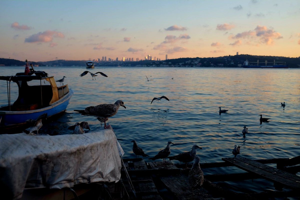 Murat Önderman Istanbul
Günbatımında Beykoz sahili
#photography #streetphotography #streetphoto #fujifilm_xseries