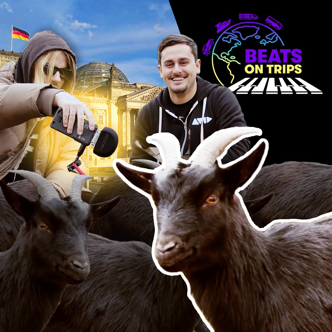 Avid's tweet photo. Ever heard goats on a beat? Watch Beats on Trips with Mo$art—Out now on the Avid Pro Tools YouTube channel!
▶️ https://t.co/fHVWMxcYAD
#beatsontrips #mosart #hiphop #protools #beatmaking #musicproduction #novation #beats #beatmaker #avid @wearenovation https://t.co/RflpebvMbw
