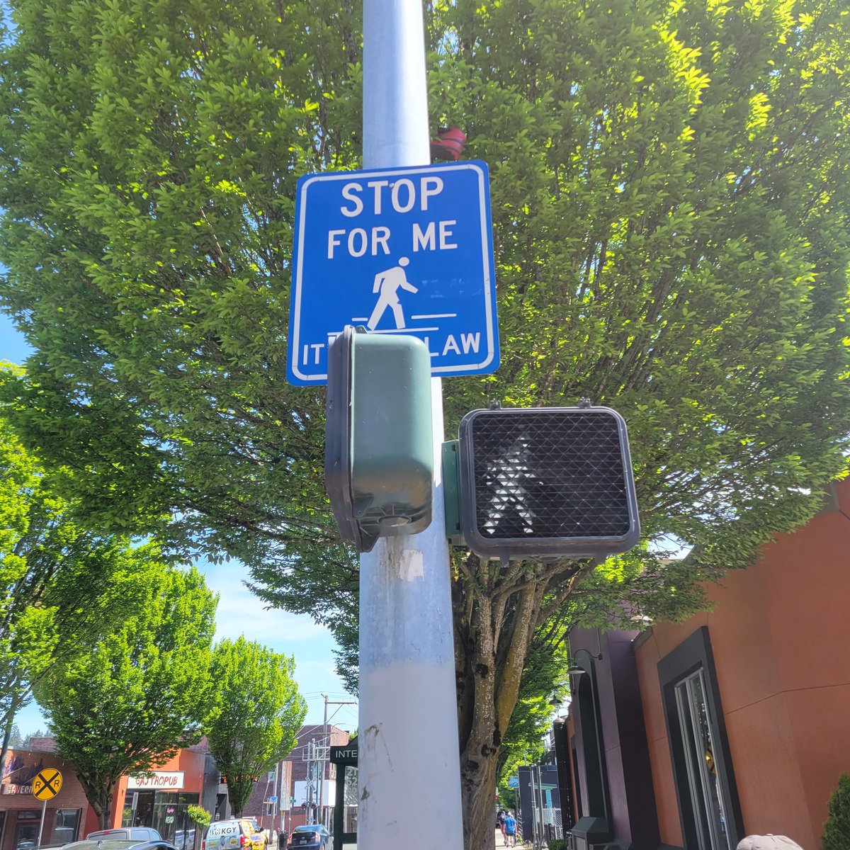 Signage related to yesterday's uncomfortable moment: 'Stop For Me. It's the Law.' with pedestrian icon. #RoadSafety #SafetyOverSpeed #ZeroTrafficDeaths #TrafficSafety #walking #walkability #MUTCD