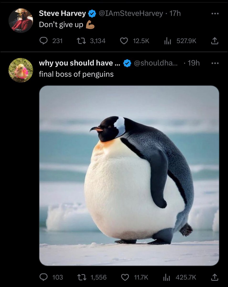 Steve, come on man, I'm not going back into penguin territory on a Saturday