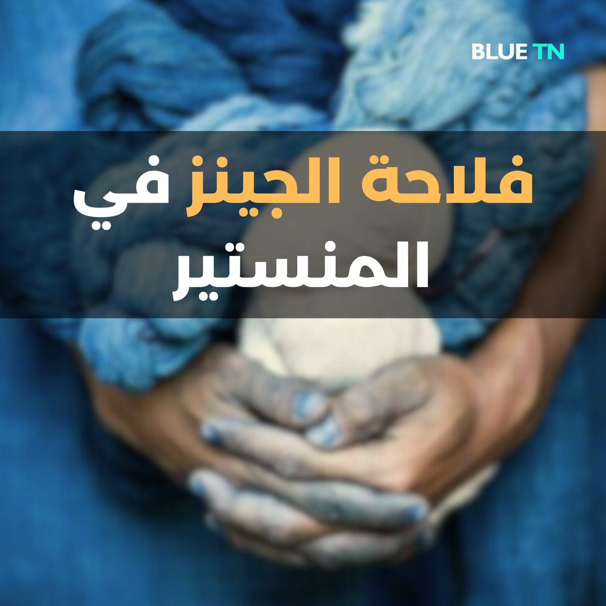 Blue TN Media tweet media