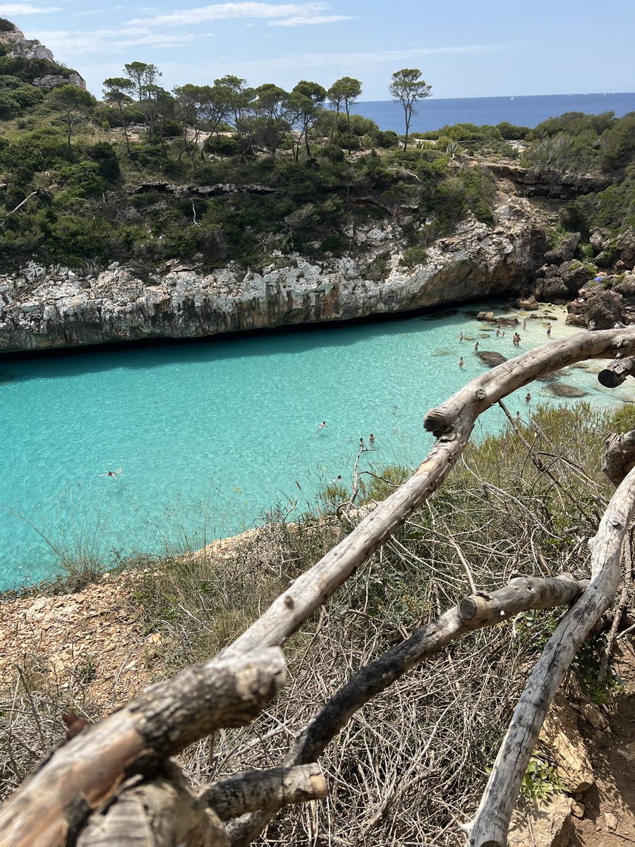 farahtweete's tweet photo. La plage Cala des Moro à Majorque, la transparence de l’eau? je me suis sentie comme un poisson https://t.co/6QuVRfXuzm