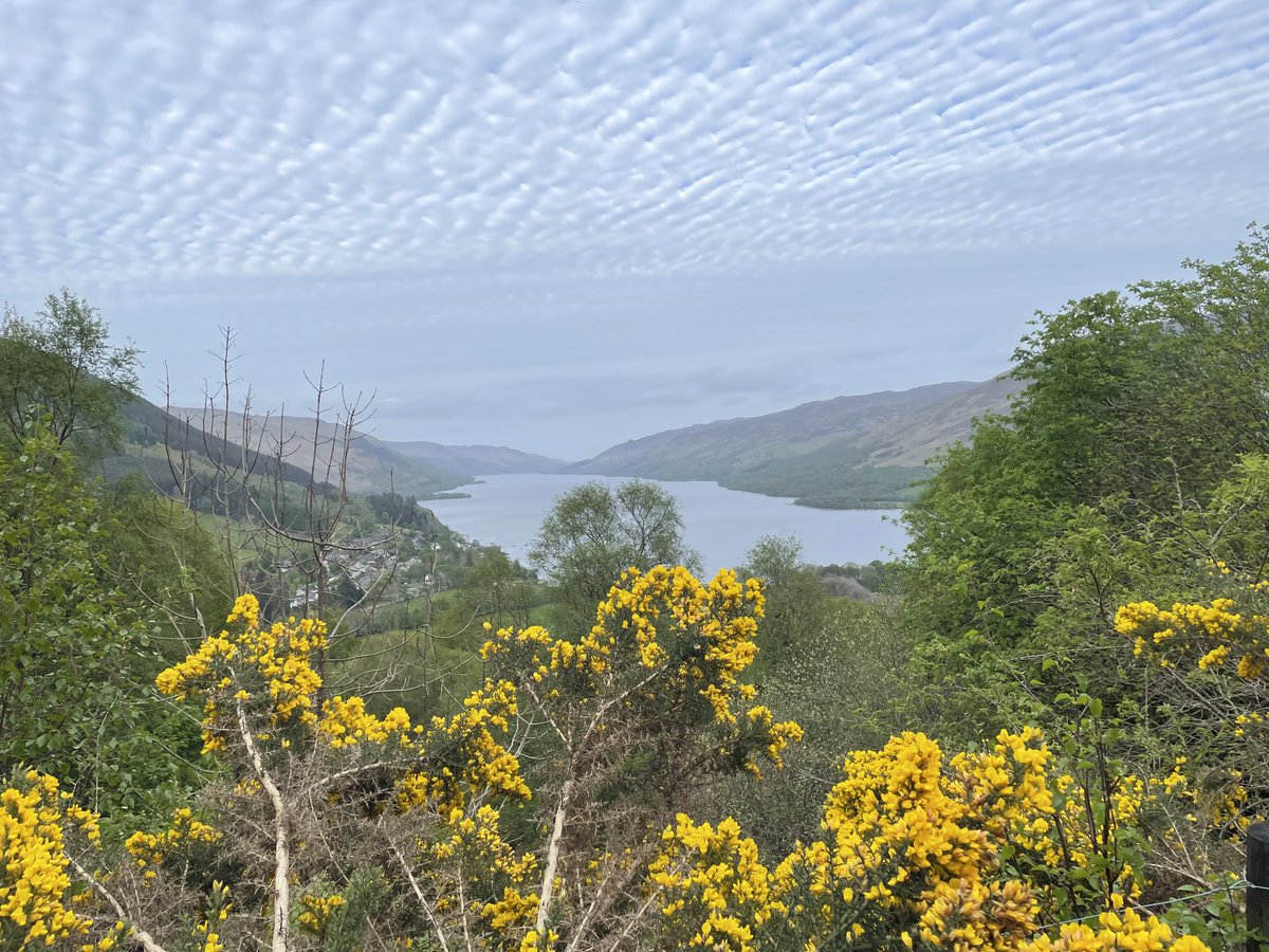Susan_Venables's tweet photo. Latest #DogWalk with views of #BalquhidderBraes #LochEarn #GlenOgle #Scotland. Loving the beauty and peace and quiet. Archie and Harry are lucky dogs #StaySafeStayHealthy everyone 🙏🐾⛰️❤️ https://t.co/MxSZrRUA0I