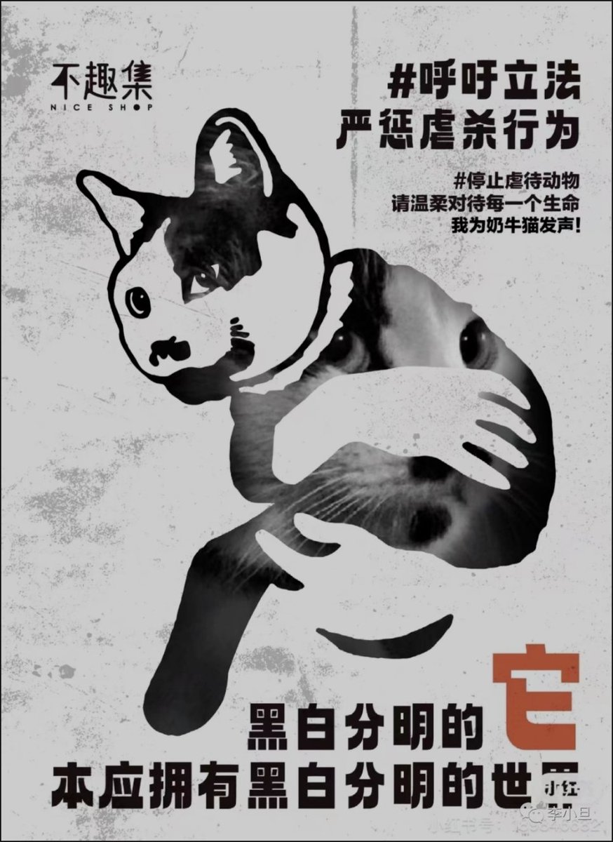 Shanghai, Jinan, China, May 20 2023

The whole China is speaking out for the tortured #cowcat that was killed by a gourmet blogger, Jack Latiao, who has 400,000 followers!!

Some volunteers took to the streets to hand out leaflets. In Jinan children hold placards.

#animalcruelty