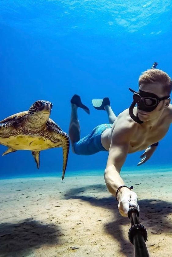 Underwater buddy🐢

#diving #freedive #adventure #ocean #apnea #scuba #freediver #scubadiving #diver #uwphotography #sealife #peace #ocean #protectocean #underwaterlife #onebreath #oceanvibes #divinglife #discoverocean #exploretocreate #adventure #turtle