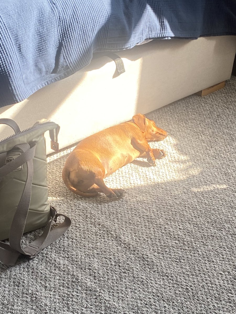 Emma Falconer tweet media