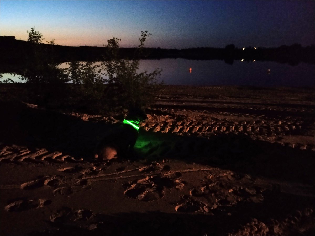 xpaaudze's tweet photo. @san_poki Tas spīdīgais ir #Basko pēchokeja pastaigā, ieklausoties pīlēs un kaijās https://t.co/5sxjEXIz7Q