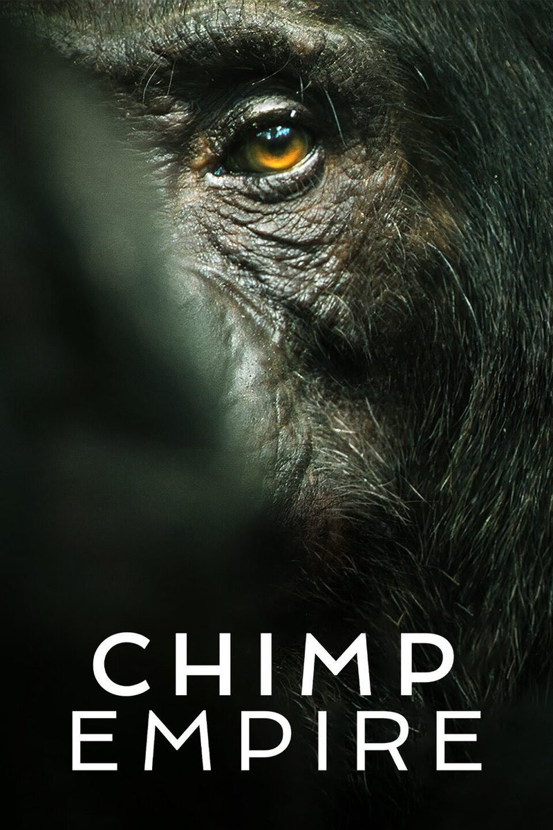 Fascinating stuff #ChimpEmpire