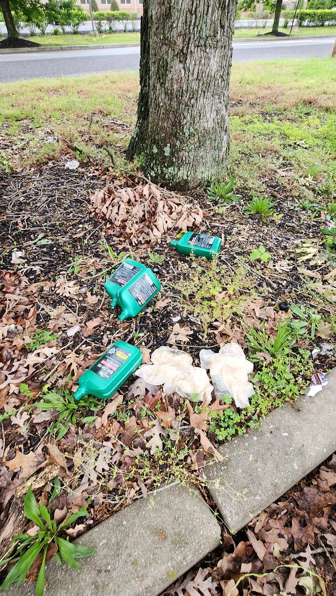 LitterRandom's tweet photo. It looks like this person did a complete oil change in the @DollarGeneral parking lot. 4 quarts? Maybe it's time to get a better vehicle! #litter #trashontheground https://t.co/n4ToS4mOgH