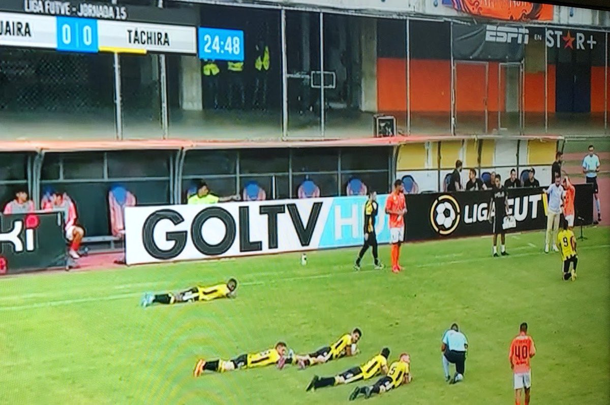 megale's tweet photo. esperando o jogo do Galo, fui ver um futebolzinho de bobeira e obviamente escolhi La Guaira x Táchira

e aí DE REPENTE tá todo mundo deitado

jogo interrompido por causa de um enxame de abelhas

e o melhor: HOJE É O DIA MUNDIAL DAS ABELHAS (sério)

@impedimento vem cá https://t.co/qvLwJGZFrK