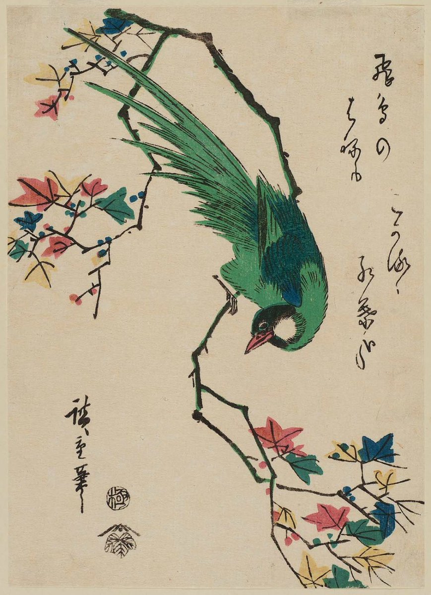 Green Pheasant on Maple Branch, by Utagawa Hiroshige, 19th century

#ukiyoe