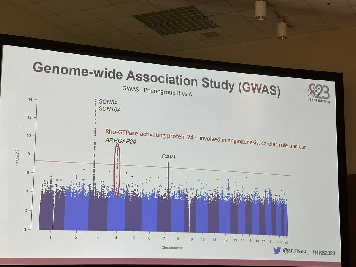 Imperial EP (@imperialep) on Twitter photo <a href="/ImperialEP/">Imperial EP</a>’s Arun Sau present fascinating unsupervised machine learning analyses of massive ECG datasets, with external validation! Novel genetic marker identified! <a href="/DrFuSiongNg/">Fu Siong Ng</a> #HRS2023 <a href="/ImperialEP/">Imperial EP</a>’s Arun Sau present fascinating unsupervised machine learning analyses of massive ECG datasets, with external validation! Novel genetic marker identified! <a href="/DrFuSiongNg/">Fu Siong Ng</a> #HRS2023