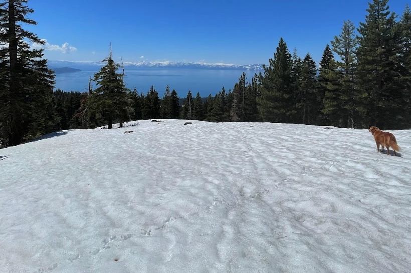 Went on a hike with Indy to reflect on the launch this past week. 

So grateful for our hard working teams, who built and launched Memberships. They executed with professionalism and grace, which is always a privilege to watch. 

Yet more appreciative of the 3D community for