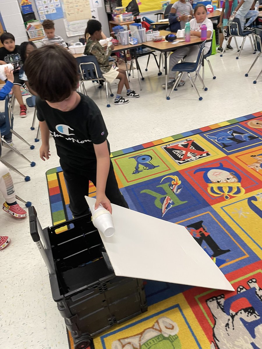 Mrs. Parker's swans tweet media