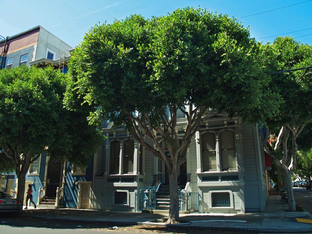 Noahpinion's tweet photo. I have invented a more efficient solar-powered carbon-neutral shade device than La Sombrita, which achieves far greater coverage throughout all hours of the day! https://t.co/lzHkCnVNcZ