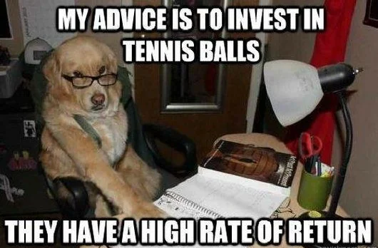 WholesomeMeme's tweet photo. https://t.co/SN2Cle0euf