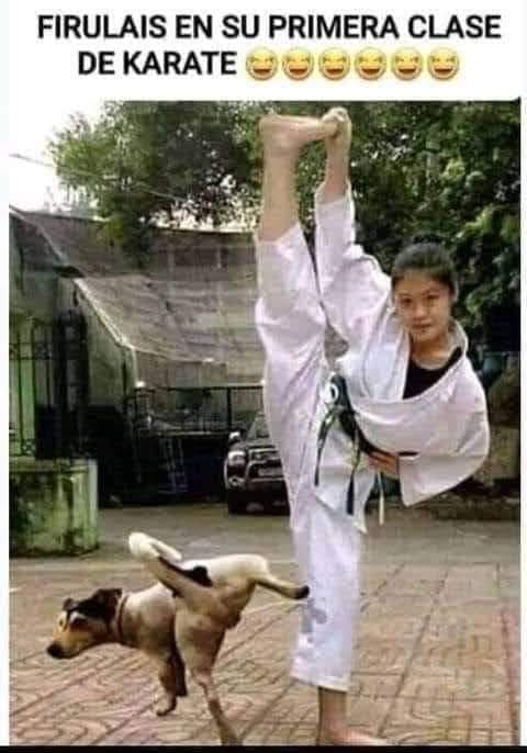 🤣🤣🤣🤣🤣🤣