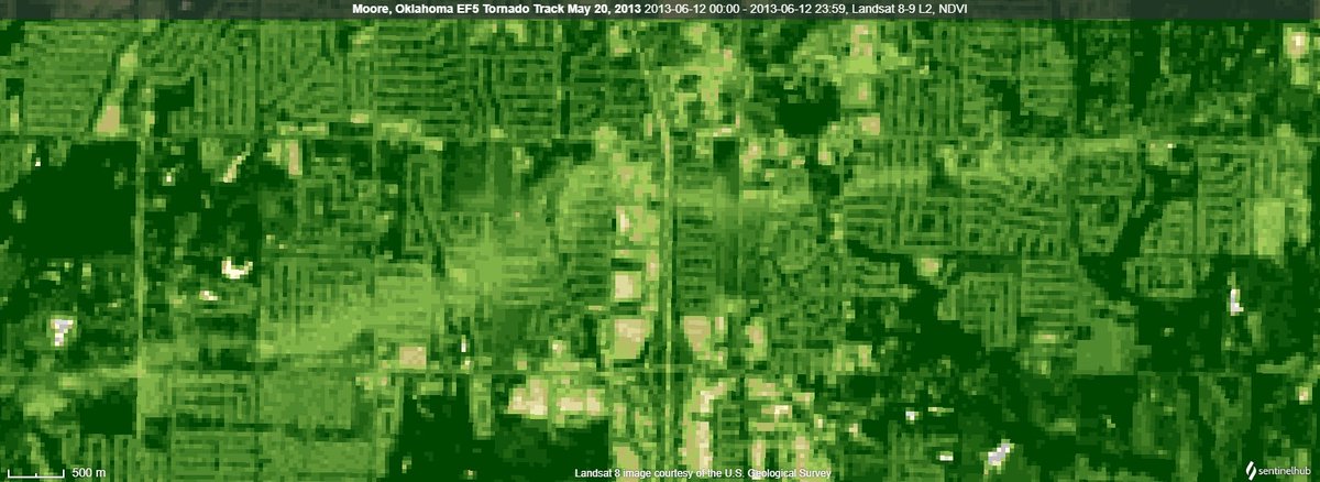 Landsat 8-9 saw one of the most extreme multispectral signatures afterwards. NDVI signatures like this are only typical of violent tornadoes.