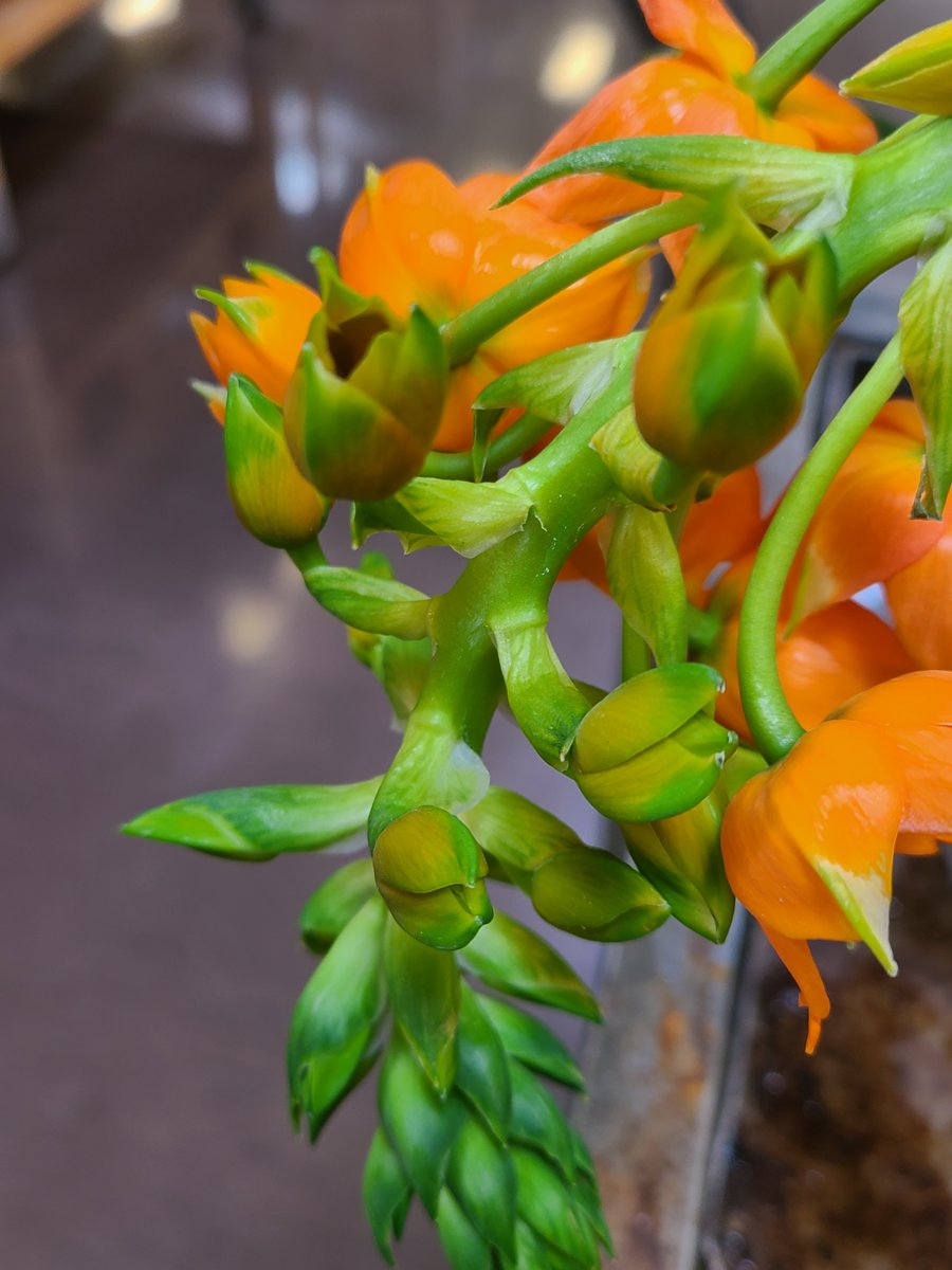 usginger's tweet image. #illusion? Or not?