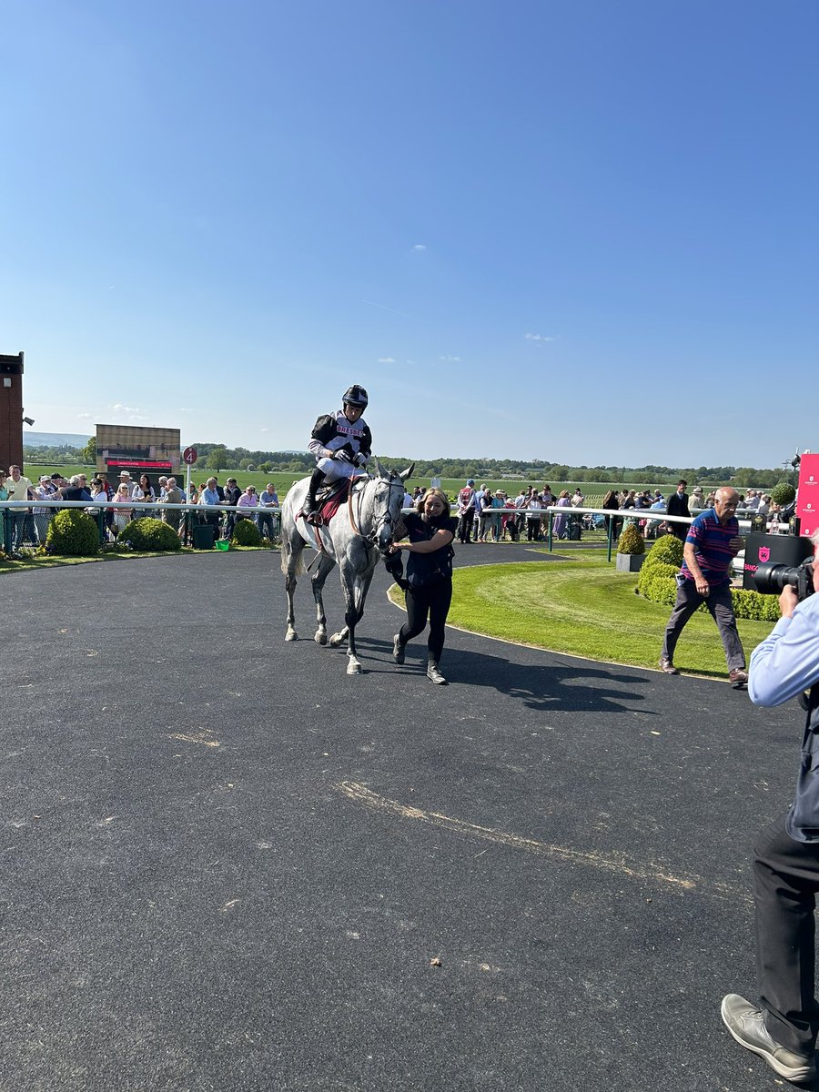 Landen Calling @BangorRaces 🐎