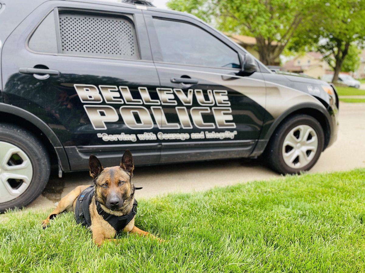 MatthewVetter11's tweet photo. @OfcShiversBPD K9 Orozco “Rozco” #kerrieon https://t.co/22arkNx0mb