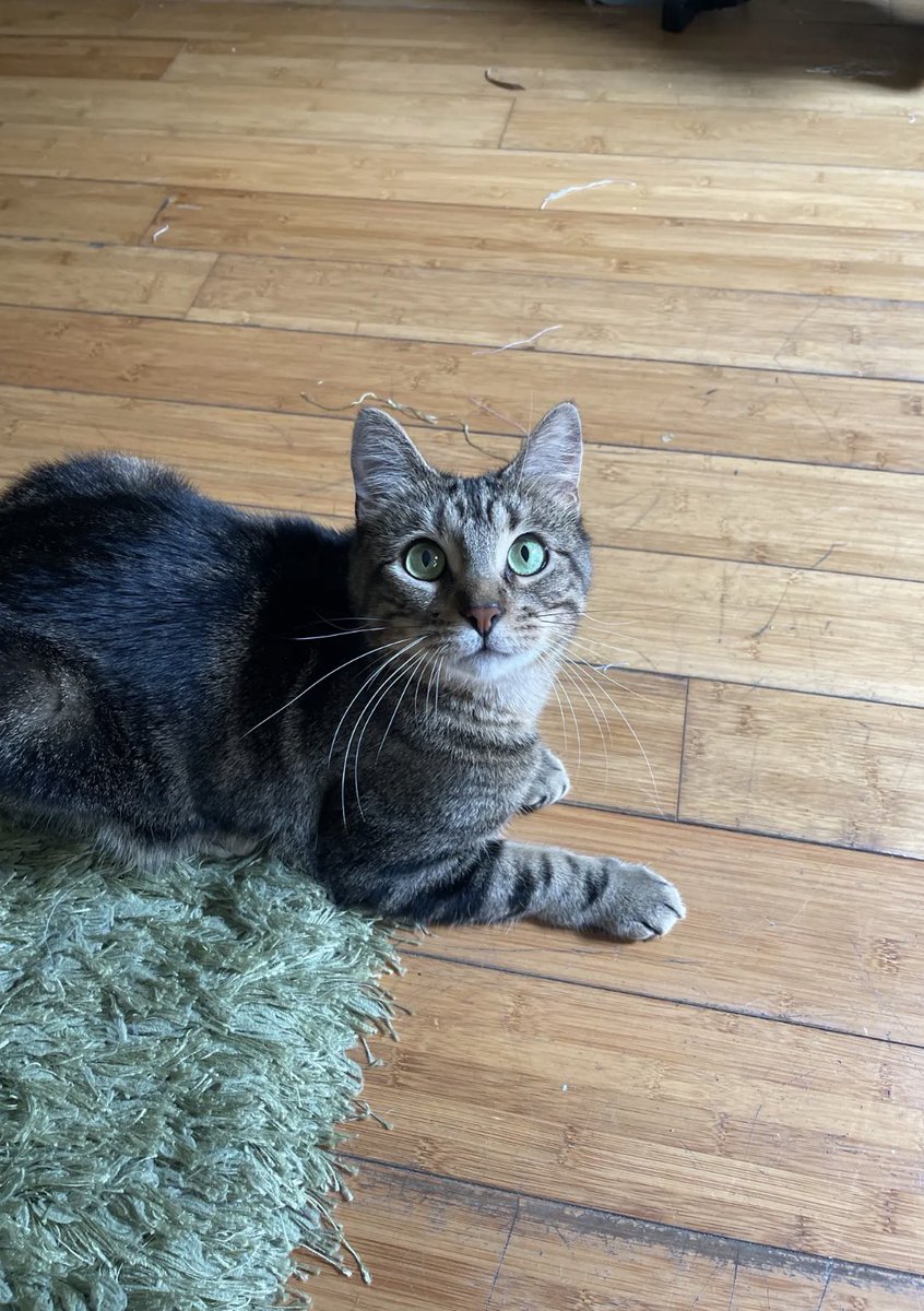 the set up vs the shot