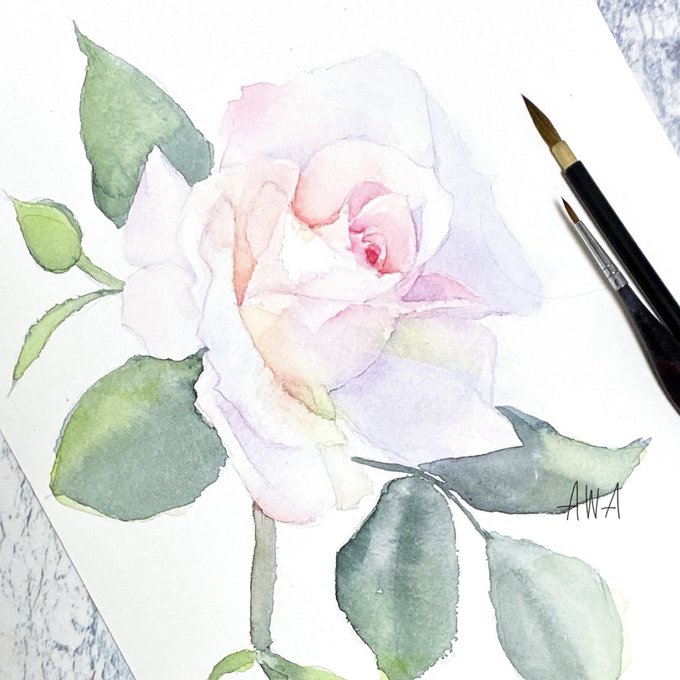 白からピンクへ、優しく色づく薔薇がとても美しいと思うのです 白地に白で画面映えはしないけど、そんな透明感のある白を表現できてとても満足です