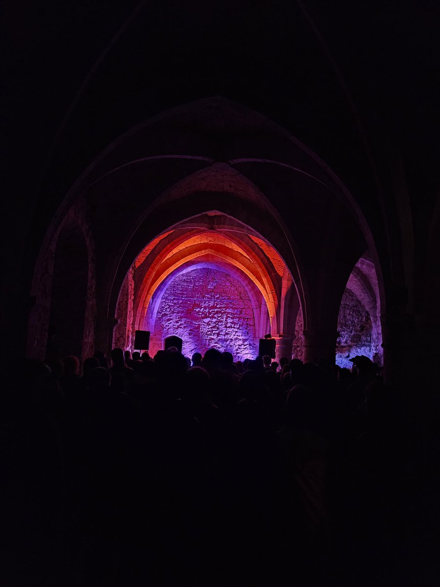 When you are in the oldest castle in your region <a href="/chateauchillon/">Château de Chillon™ (compte archivé)</a> and you have so great #rockandroll bands. What an great night! #Switerland #Genevalake #LacLeman