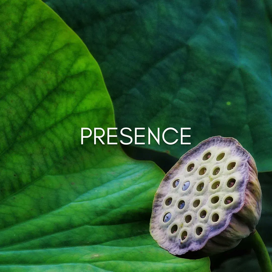 gene_keys's tweet photo. The Pulse – May 21st – 26th 2023 – Gene Key 20
Bring attention this week to your breath. Pause and breathe 3 deep breaths as often as you can. Presence is all about how deeply and rhythmically we are breathing.
https://t.co/VnhuNWbAbl
#genekeys #genekey20 #presence #thepulse https://t.co/CoadqijCPi