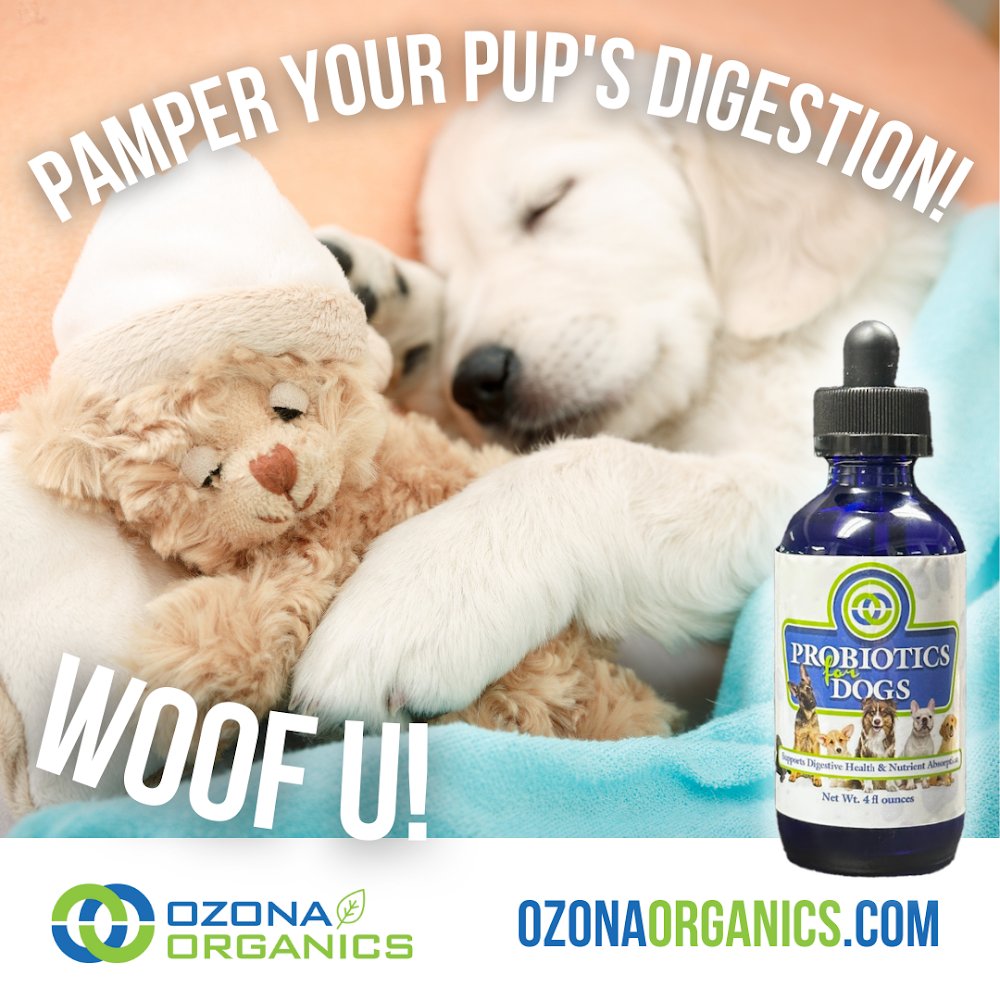 OzonaOrganics's tweet photo. No more struggling to give your pup pills! Ozona Organics Probiotics for Dogs are tasteless and easy to give with food or water. #EasyToUse #HappyPets https://t.co/DfbCmqFXA8 https://t.co/xs6X4DPJg1