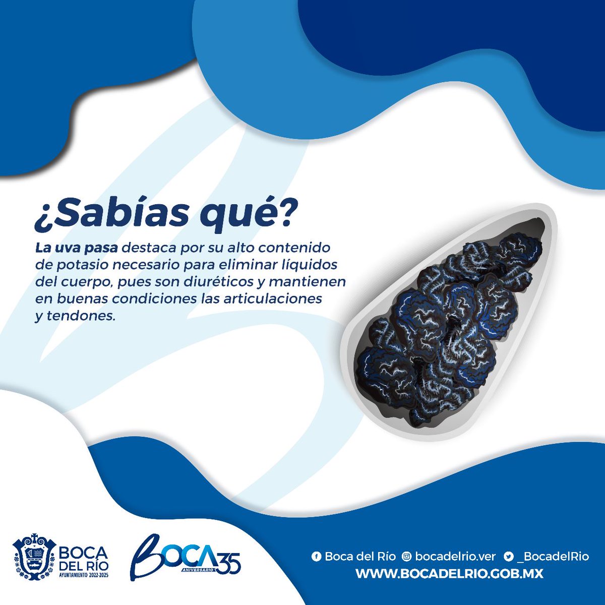 Las uvas pasas son muy populares como un snack saludable y también se utilizan en una variedad de recetas, desde platos dulces hasta salados.

Es por eso que te dejamos un dato importante sobre ella👇🏽

#Boca35Aniversario #LoMejordeVeracruz