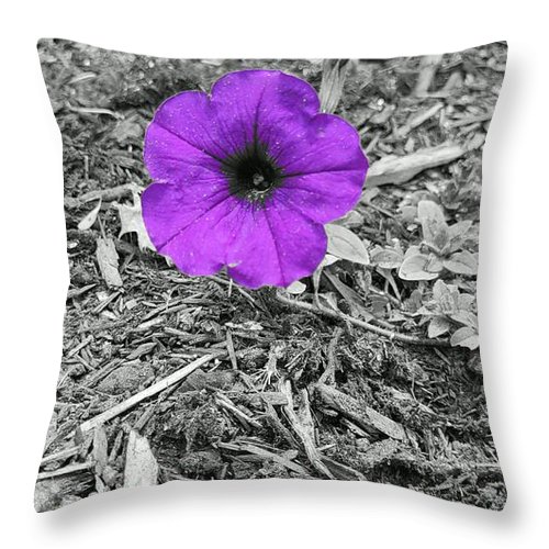 DougGlassArt's tweet photo. Check my new flower photos  📸🖼️👇
https://t.co/LCvQNU9gb1
#PicOfTheDay #ArtOfTheDay #beautiful #creative #amazing #photography #art #WhatInspiresMe #smile💡🤩 Do you #love art and photography? Like, Comment, Share, Follow👇🖼️ ❤️
@DougGlassArt https://t.co/8XIs04Hmpi