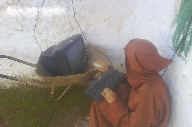 setup reveal, best one in the tree