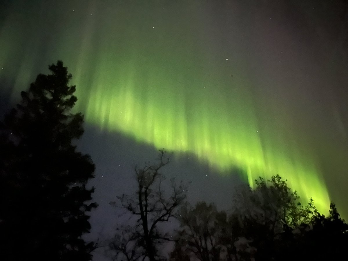 Cameron MacIntosh tweet media